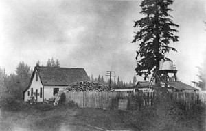 A25935_cedarcottage_brew